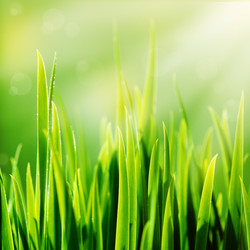 Similar image 1446163