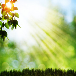 Similar image 1446188