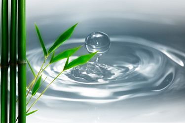 Similar image 1446190