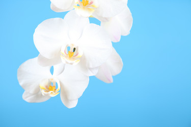 Similar image 1446202