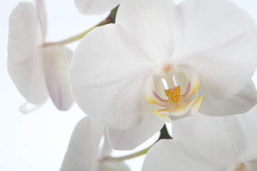 Similar image 1446205