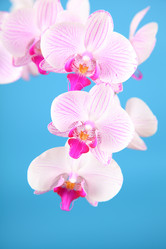 Similar image 1446210