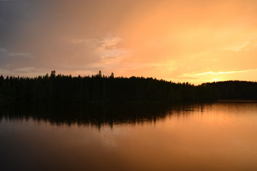 Similar image 1446213