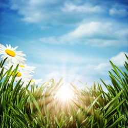 Similar image 1446241