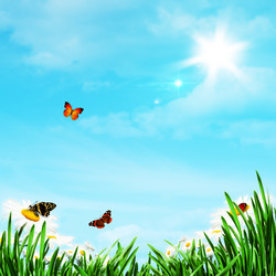 Similar image 1446243