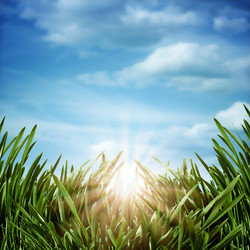 Similar image 1446247