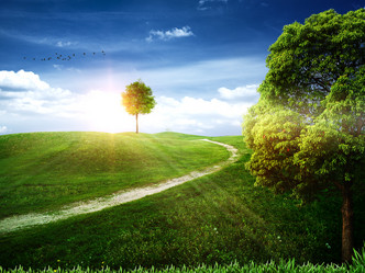 Similar image 1446250