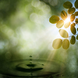 Similar image 1446254