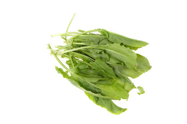 Similar image 1446261