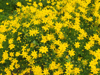 Similar image 1446351