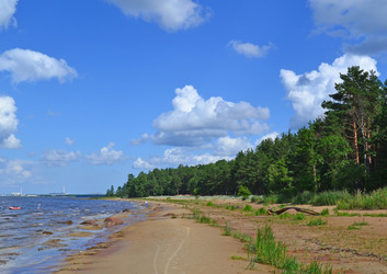 Similar image 1446409