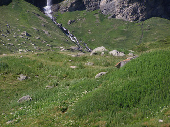 Similar image 1446450