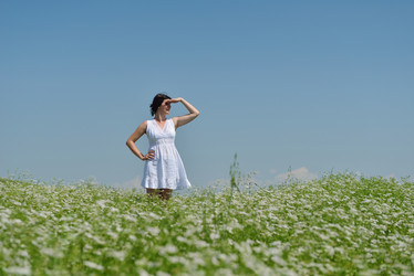 Similar image 1446682