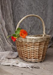 Similar image 1446730