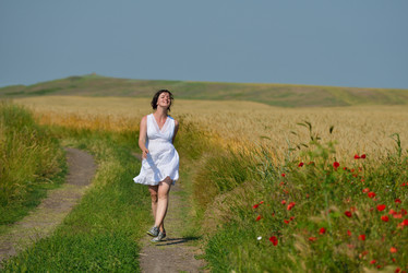 Similar image 1446736