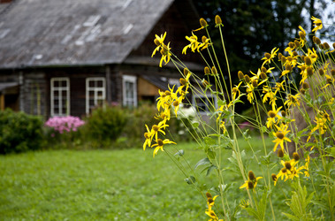 Similar image 1446797