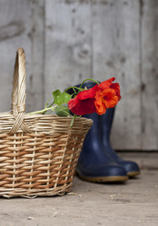 Similar image 1446846