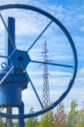 Similar image 1446859