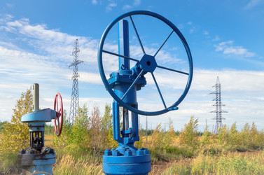 Similar image 1446860