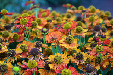 Similar image 1446864