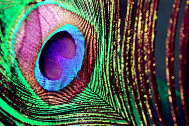 Similar image 1446882