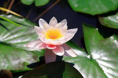 Similar image 1446914