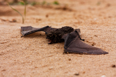 Similar image 1446981