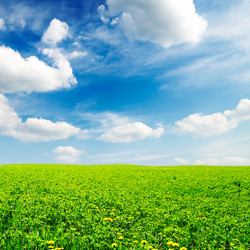 Similar image 1447026