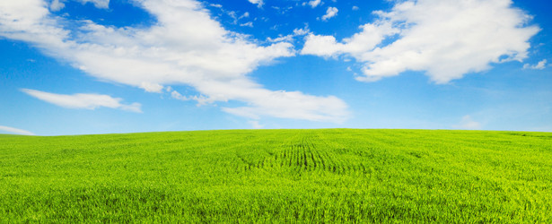 Similar image 1447028