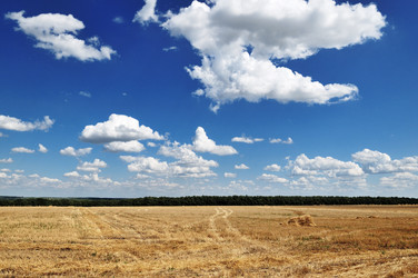 Similar image 1447033