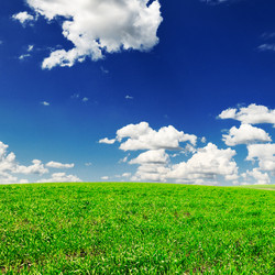 Similar image 1447041