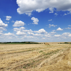 Similar image 1447043