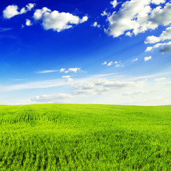 Similar image 1447045