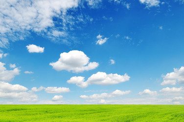 Similar image 1447056