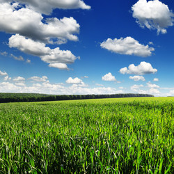 Similar image 1447058