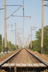 Similar image 1447076