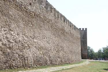 Similar image 1447096