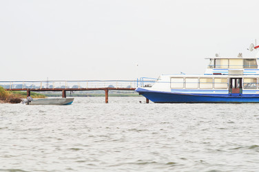 Similar image 1447099