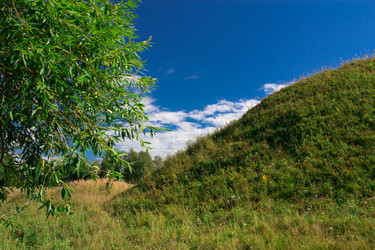 Similar image 1447221