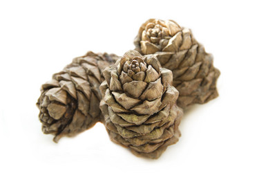 Similar image 1447232