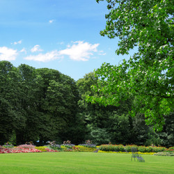 Similar image 1447243