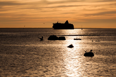 Similar image 1447260