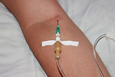 Similar image 1447279