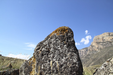 Similar image 1447310