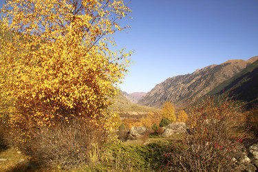 Similar image 1447312