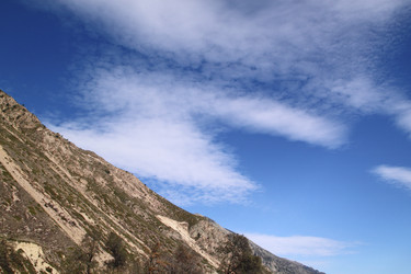 Similar image 1447348