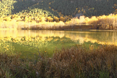 Similar image 1447349