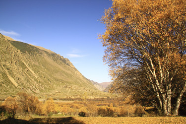 Similar image 1447350