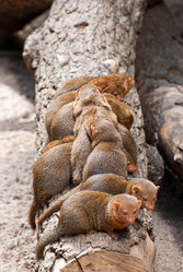 Similar image 1447358