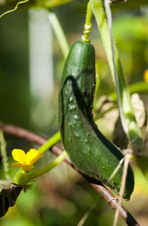 Similar image 1447381